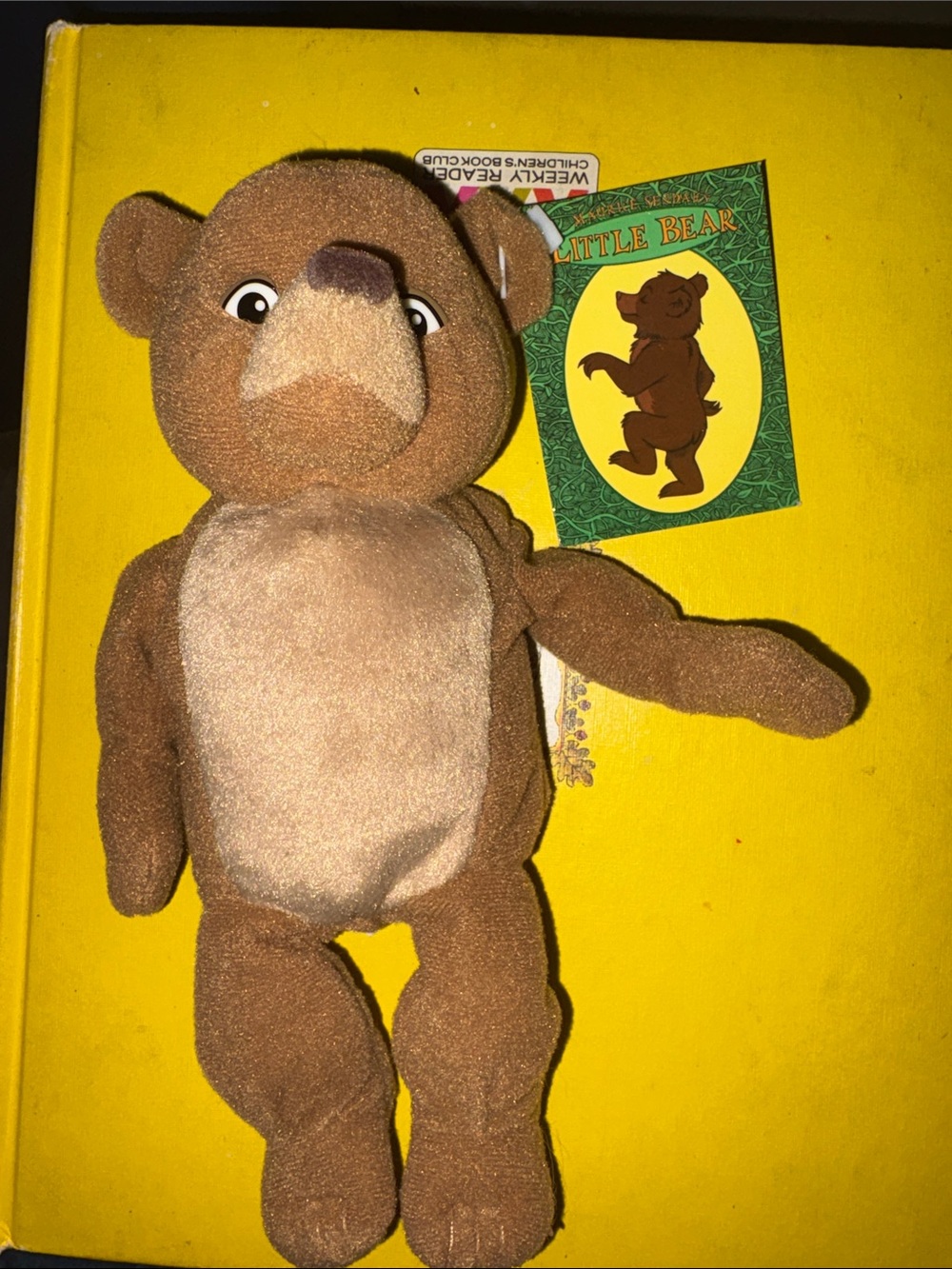 Little Bear Plush Toy - Brown Soft Stuffed Animal